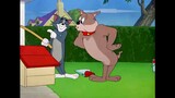 Tom and Jerry Classic Cartoon 3