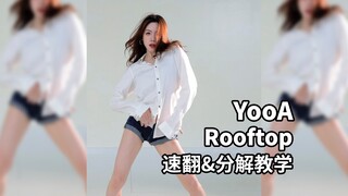 《Rooftop》速翻&分解教学