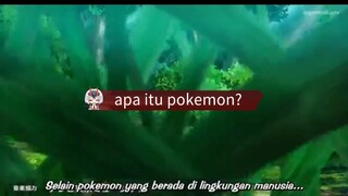 apa itu pokemon