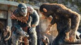 Kingdom of the Planet of the Apes The link in description