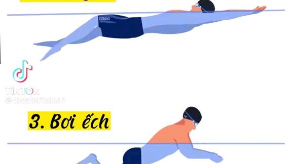 basic swimming