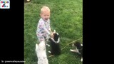BABIES AND CUTE DOGS
