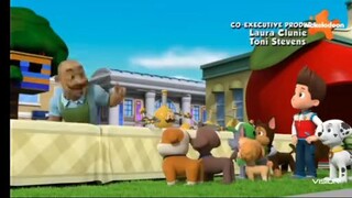 Paw patrol Musim 8 Episode 1 Bahasa Indonesia Vision+