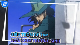 Siêu trộm đệ tam| Loài chim trường sinh_2