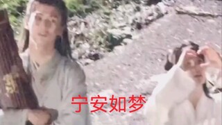 宁安如梦路透，白鹿，张凌赫！