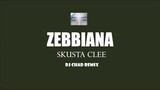 ZEBBIANA - SKUSTA CLEE DJ CHAD REMIX