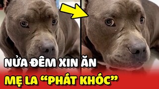 Bé Bù Tọt nửa đêm ĐÓI BỤNG đi XIN ĂN thì bị mẹ la đến PHÁT KHÓC 😂 | Yêu Lu