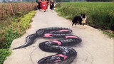 Vẽ một con rắn trên đường, chú chó sợ quá không dám di chuyển!