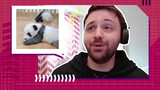 Can’t get enough! Foreigners go crazy about pandavideos on TikTok.