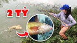 7 Loài Cá Quý Hiếm Nhất Việt Nam Sẽ Giúp Bạn Thành Tỷ Phú Nếu May Mắn Câu Dính
