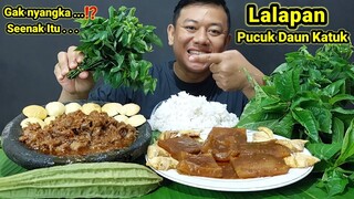 JENGKOL MENTAH SAMBAL CUMI PEDAS IKAN ASIN SEMUR KULIT LALAPAN MENTAH DAUN KATUK MAKAN ENAK