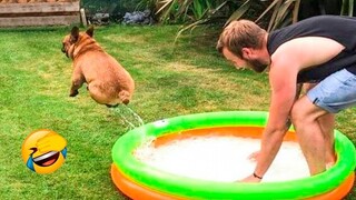 Funny And Cute Dogs Videos 🐶 - Funniest Animals Compilation 2023 | Pets Island