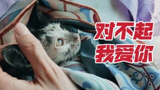 如果真的有喵星…｜爱与死亡《花儿与少年5》拆析番外篇 小猫龙龙