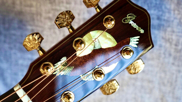 Playing Wings with a Greven With Dried Brazilian Rosewood Back