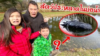 สัตว์ประหลาดในบ่อน้ำบ้านแกรนมัม 🐾🙈☠️ EP 1 แมวทอมมี้หายไปไหน? Pond Monster