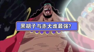 Lihatlah Blackbeard: Akainu itu bajingan, aku hanya tidak ingin melawanmu!