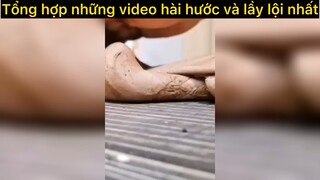 Những video hài hước nhất#haihuoc#hài#tt