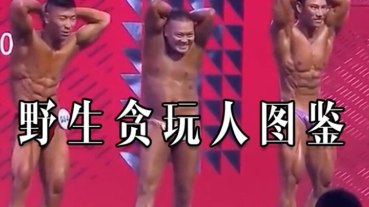 【野生人类图鉴】就为了图一乐