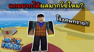 พี่เข้หลอกคนไปเอาผลที่อลาบาสต้า [Blox Fruits]