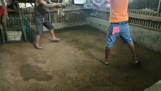 bulik move pinag laruan lng kalaban