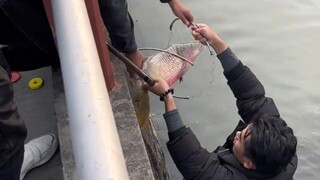 The eldest brother handed out half of the flyers and helped to catch fish.