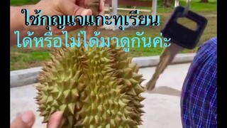 ปอกทุเรียนด้วยกุญแจรถ/แกะทุเรียนง่ายอย่างนี้เชียวหรือ