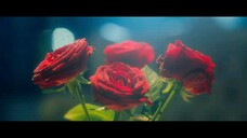 5te4lth - EP03