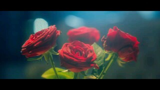 5te4lth - EP10