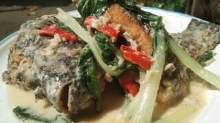 Ginataang Tilapia w/ Pechay & Alamang😘 Tilapia Recipe