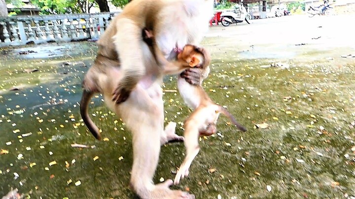 Lovable Baby Michael Expressing His Happiness With Is Beloved Relatives