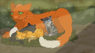 Warrior Cat Full Map │ Treat you better (AshFur vs BrambleClaw)