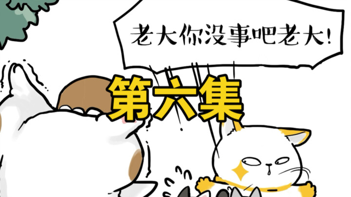 “你的小弟，我非要不可！”