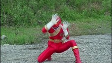 Hyakujuu Sentai Gaoranger VS Super Sentai