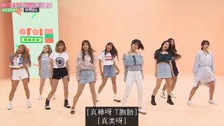 TWICE：上综艺又玩新花样，表演爆笑立正舞？引全场爆笑