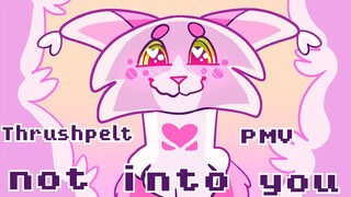 Not Into You-- Thrushpelt PMV