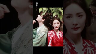 You guys are so close | 狐妖小红娘月红篇 | iQIYI