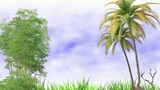 Stock video fotage coconut trees animation