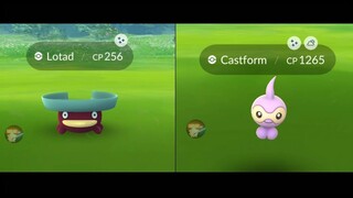 New Shiny lotad and castform release in the wild. I got 100 IV Shiny Pokemon in the wild!