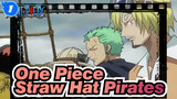 [One Piece] How Dare Can You Rob Straw Hat Pirates?_1