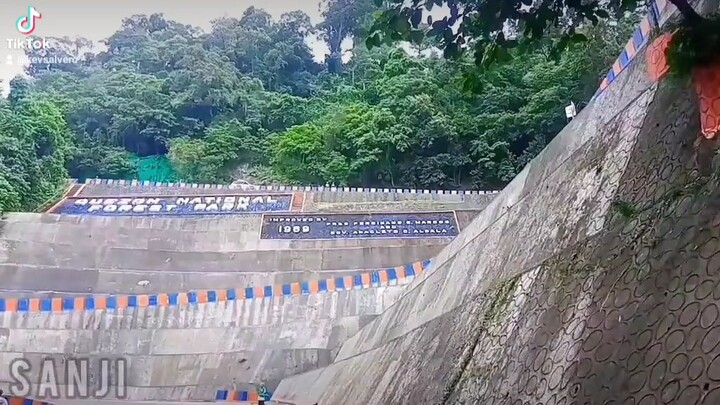 bitukang manok (quezon)