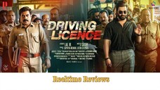 Driving Licence 2019 1080p Dual Audio Hindi Malayalam