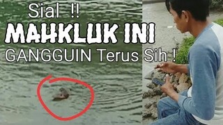 Sial ! Mahkluk ini Gangguin terus Sih || Mancing Mania - Blands Hidayat