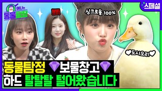 [SUB] 휴가를 반납했습니다. 예나는 동물탐정 이대로 보낼 수 없어😭 하드 탈탈 털어옴...☆ㅣ예나는동물탐정 스페셜 편