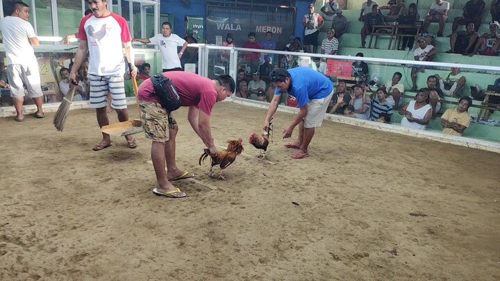 2cock ulotan