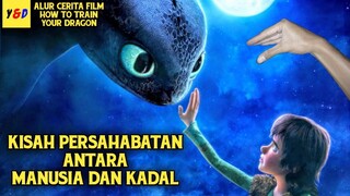 Juru Kunci Naga Si Penyelamat Dua Kehidupan - ALUR CERITA FILM How To Train Your Dragon