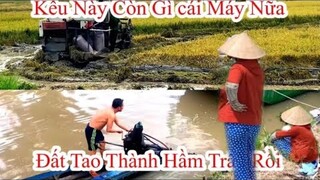 Chủ Miếng Đất l Chủ Máy Cắt Ngao Ngáng Vì Đất Quá Dẻo l Quá Lún Lầy