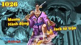[One Piece 1026]. Sulong toả sáng, Jack CHẾT! Shogun Momo đi cứu Hoa Đô!