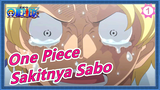 [One Piece] Sakitnya Sabo--- Kematian Ace_1