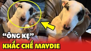 Xuất hiện "ÔNG KẸ" khắc chế báo thủ Maydie 😂