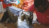 Malaysia Bulk Sewing Factory #malaysia
